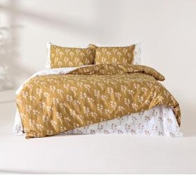 1789396484_sentonia-paplomatothiki-bambakosaten-300tc-Kentia-Louise